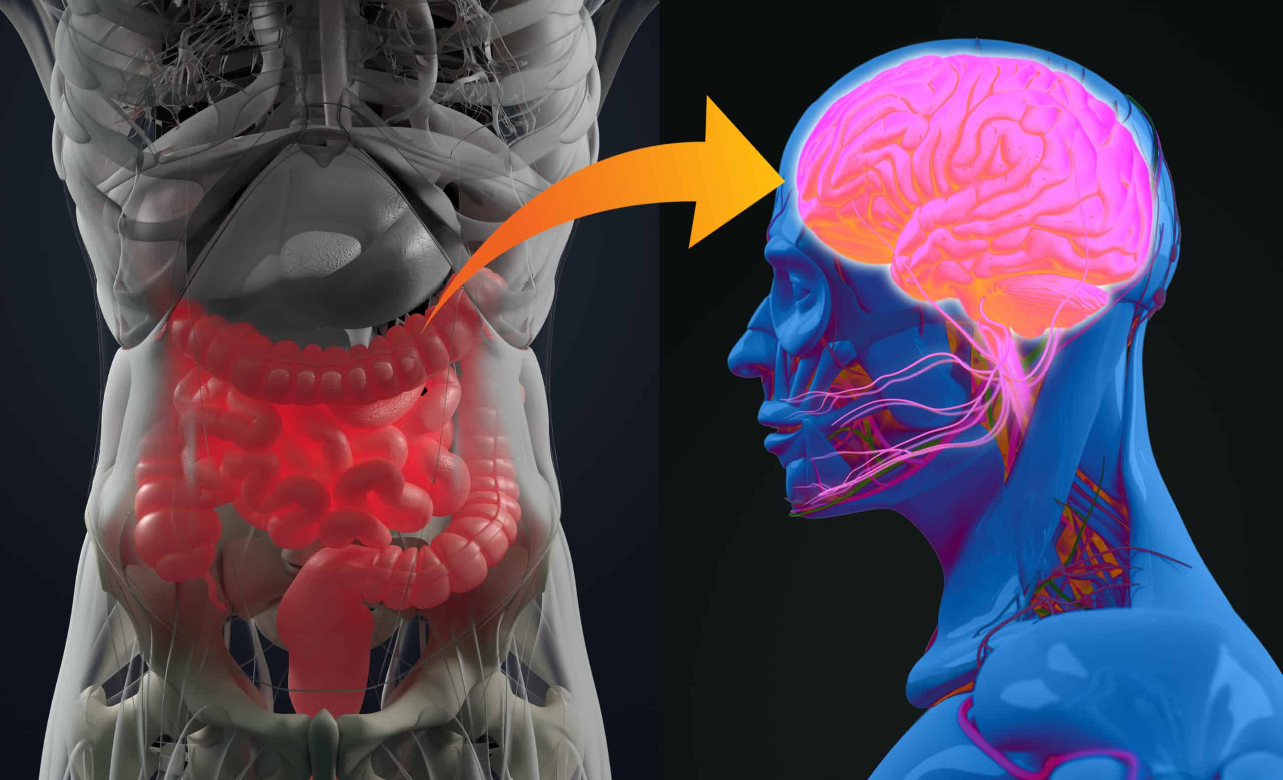 ASD, Digestive Issues and Pica, Autism, NCBDDD