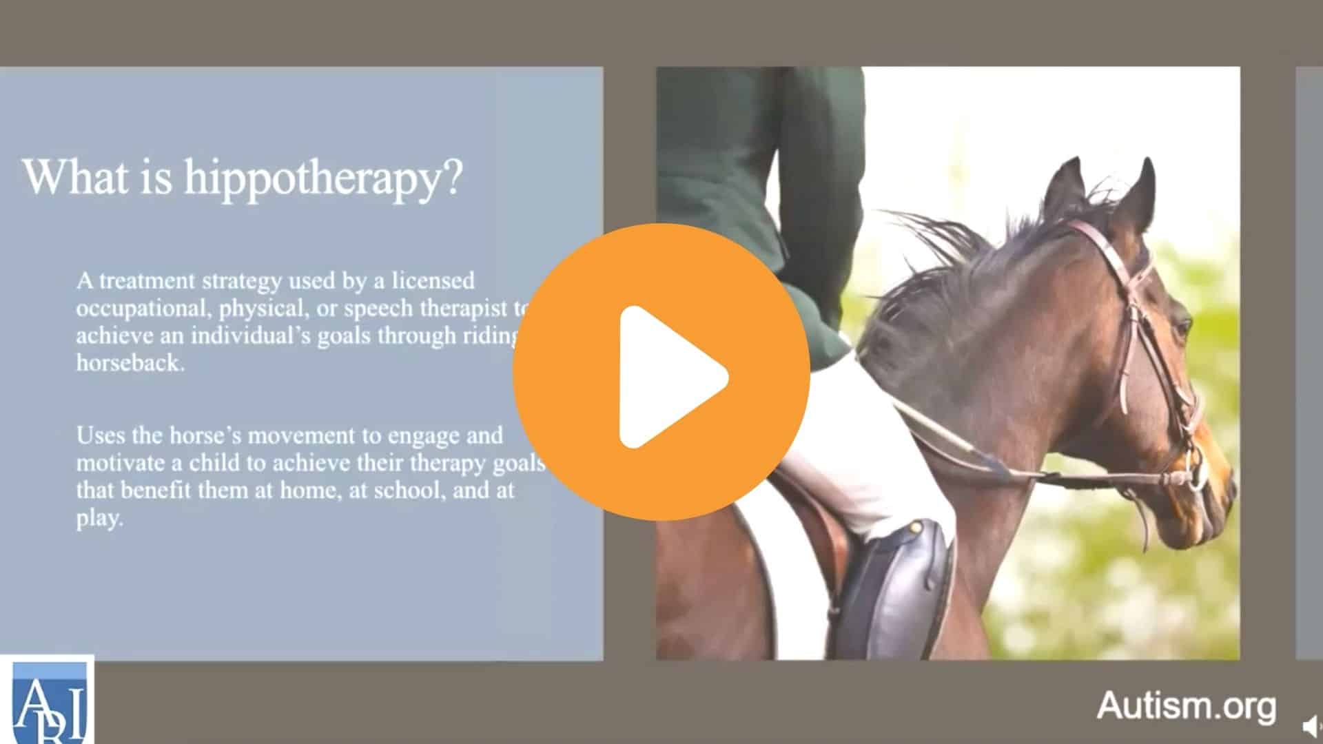 Hippotherapy Webinar Screenshot